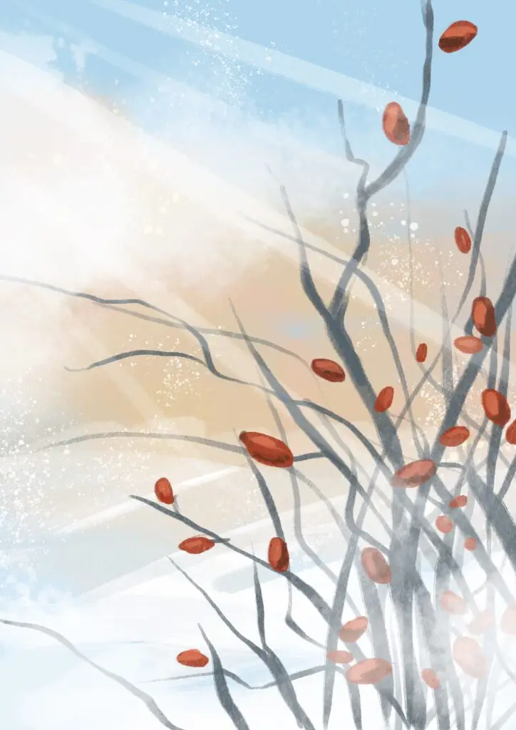 a drawing of a rose hip bush in a winter landscape with soft sunlight.