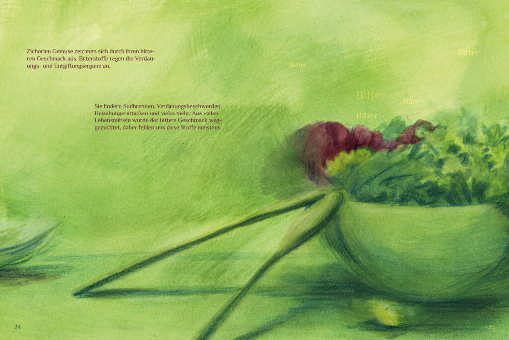 a double page of a illustrated cookbook. a salad bowl drawn with green colors.